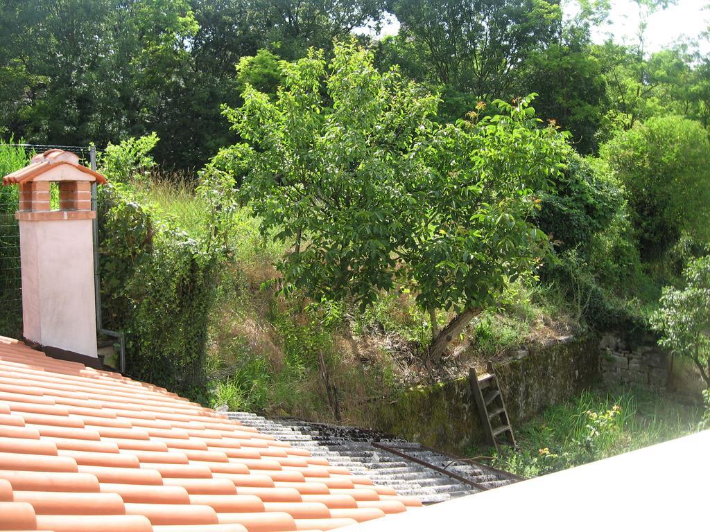 Apartments Alen Pazin Exterior photo